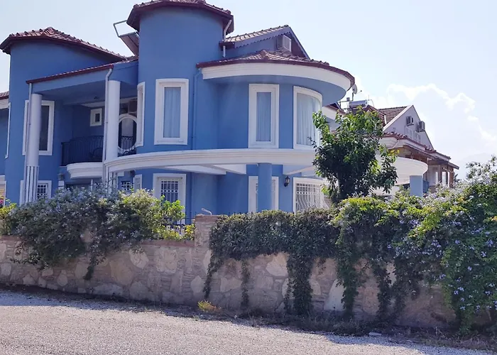 Mavi Calis فيلة *