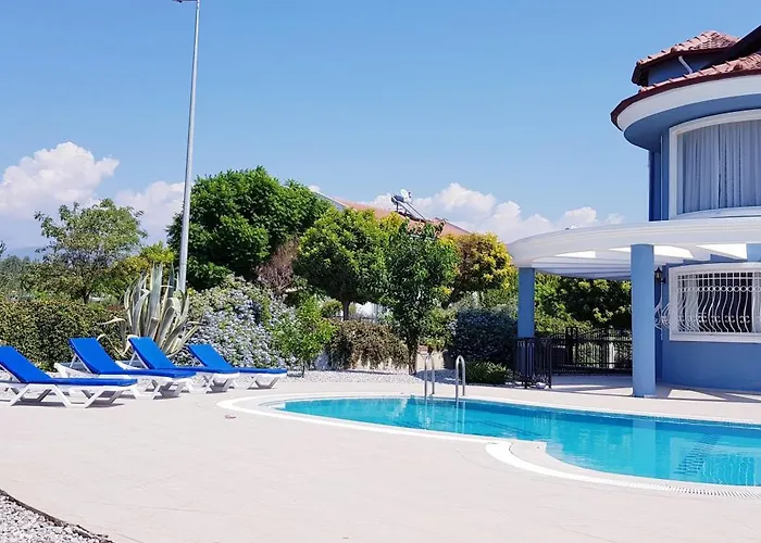 فيلة Mavi Calis فتحية